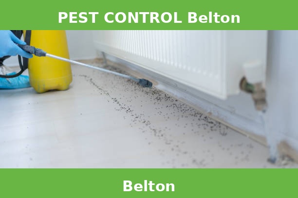 PEST CONTROL Belton